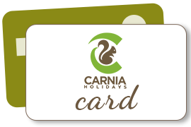 Carnia Holidays Card